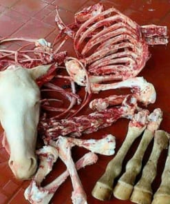 Tư vấn sản phẩm: 0846.336.111