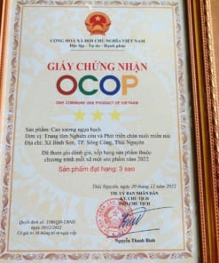 Cao Xương Ngựa