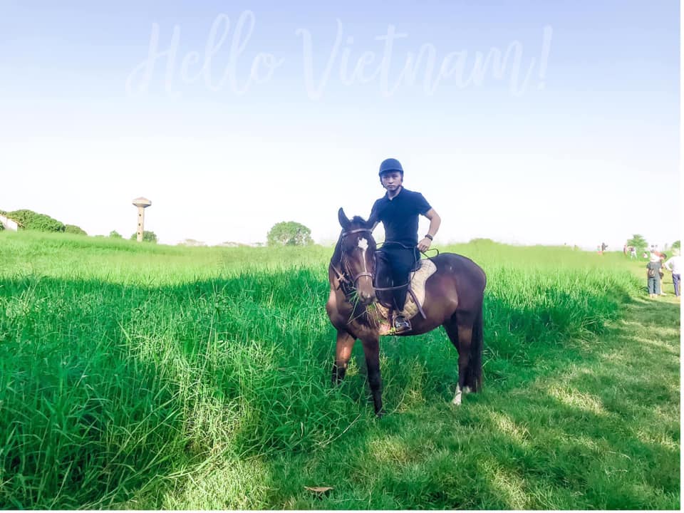 trai-ngua-ba-van-cao-xuong-ngua-bach