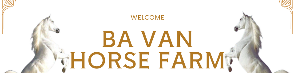 Cao Xương Ngựa - Bá Vân